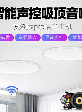 浪歌（Langge）定制发烧版Pro语音吸顶音箱小爱同学声控WIFI音响