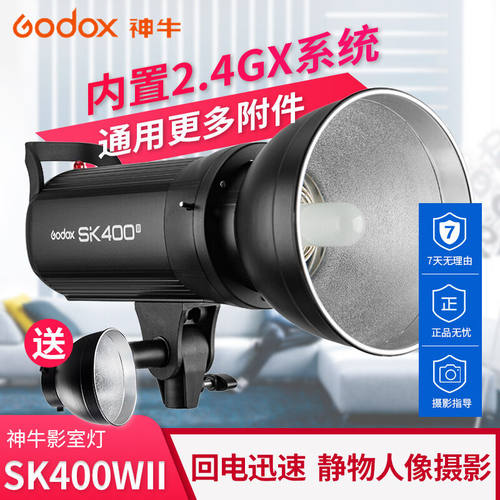 神牛（Godox）摄影灯dp600wii/sk400ii二代影棚闪光灯人像静物摄