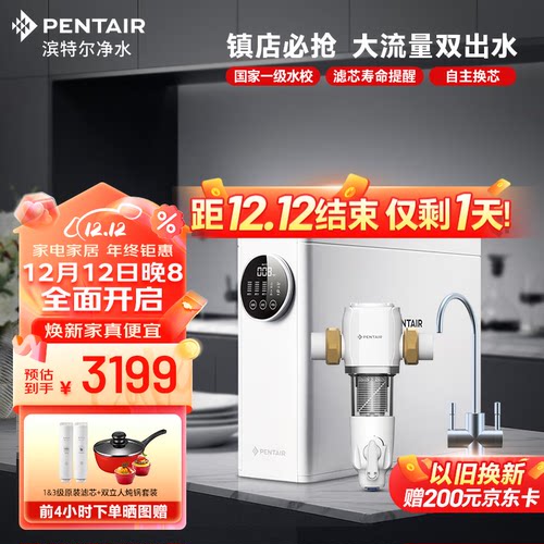 滨特尔（pentair）净水器家用直饮净水机厨下大流量智能反渗透双