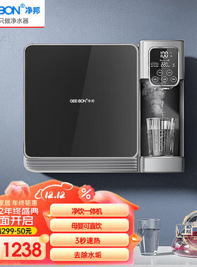 净邦净水器家用直饮RO反渗透纯水机3秒速热净饮加热一体机厨房净