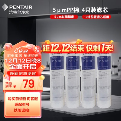 滨特尔（pentair）净水器家用前置10寸PP棉滤芯简易更换原装替换P
