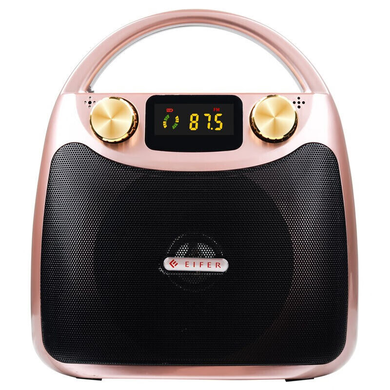 伊菲尔（Eifer）户外无线蓝牙音箱广场舞音响便携式小型迷你手提