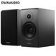 丹拿 意境系列Emit20HiFi无源书架音响发烧音箱木质2. DYNAUDIO
