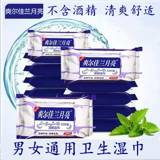 爽尔佳兰月亮22片湿巾纸成人保湿清洁卫生护理私处房事经期小包装