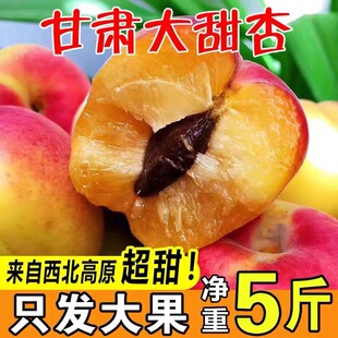 甘肃秦安大甜杏新鲜水果当季现摘现发孕妇小孩水果纸箱包邮5斤