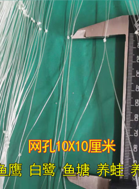 防鸟网天网果园鱼塘养殖