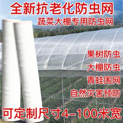 防虫网大棚专用加厚蔬菜40目60目80目农用果树防鸟尼龙网罩养殖网