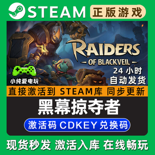 CDKEY激活码 Blackveil Steam游戏正版 入库 黑幕掠夺者 Raiders