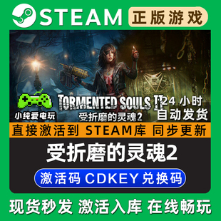 受折磨的灵魂2 Steam单机游戏正版CDK豪华版全DLC兑换激活码入库