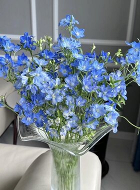 小飞燕蓝色粉色小清新花材家庭水养鲜切花客厅办公室插花基地直发