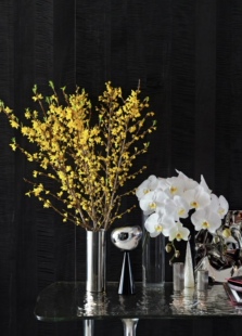 荷兰进口寸寸金鲜切花年宵花寓意好家用水培插花花期长云南直发