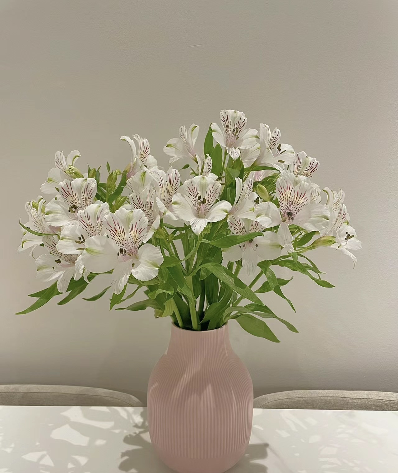 水仙百合六初花稀有品种云南花农直发新鲜鲜切花水养家庭插花图片