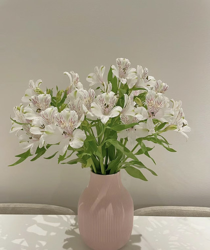 水仙百合六初花稀有品种云南花农直发新鲜鲜切花水养家庭插花