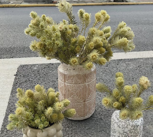 小众金鹅绒鲜花简约风客厅摆设花期长可做干花装饰家用室内插花