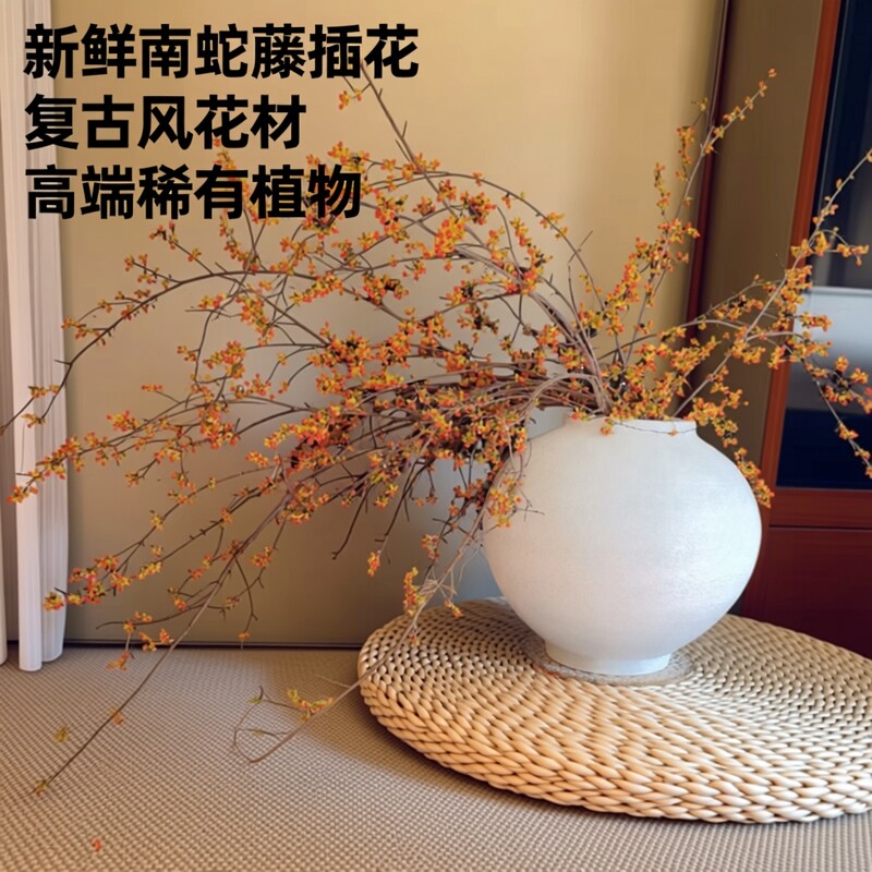 新鲜南蛇藤复古风花期长室内插花高端稀有花材鲜切枝条云南直发