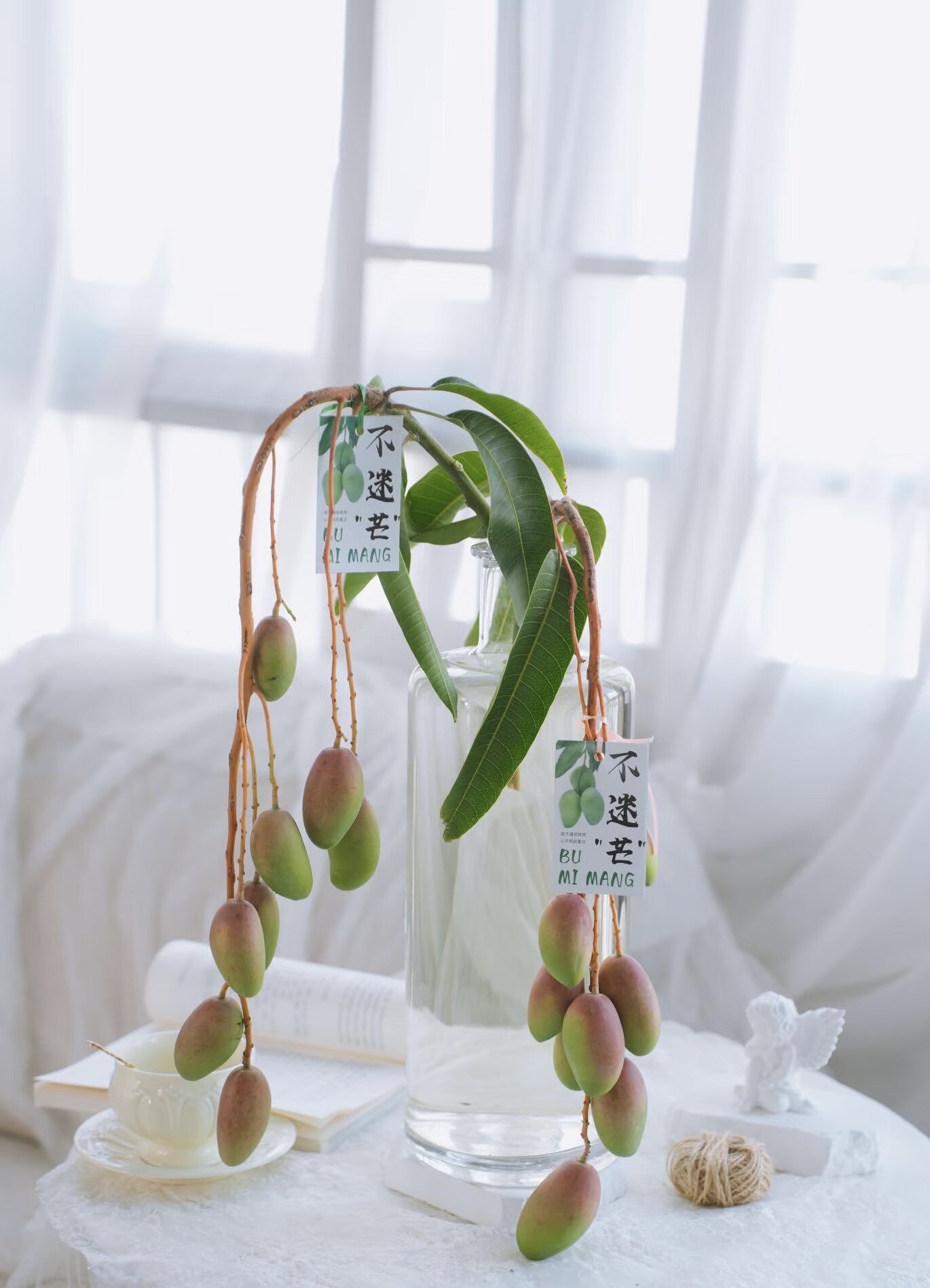 新鲜水培小芒果鲜切枝条不迷茫家用插花小众时令花材云南现采现发