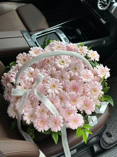多品种非洲菊史努比华沙香格里拉鲜花速递云南基地直发花期长花材