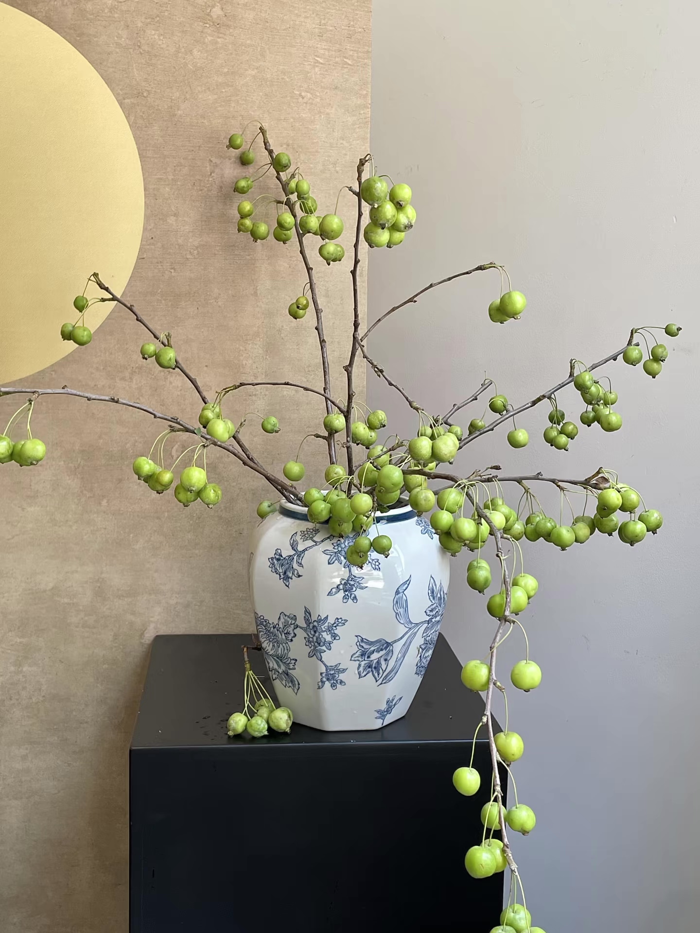海棠果喜树果鲜花氛围感当季新花材可干插干花云南直发绿植灯笼果图片