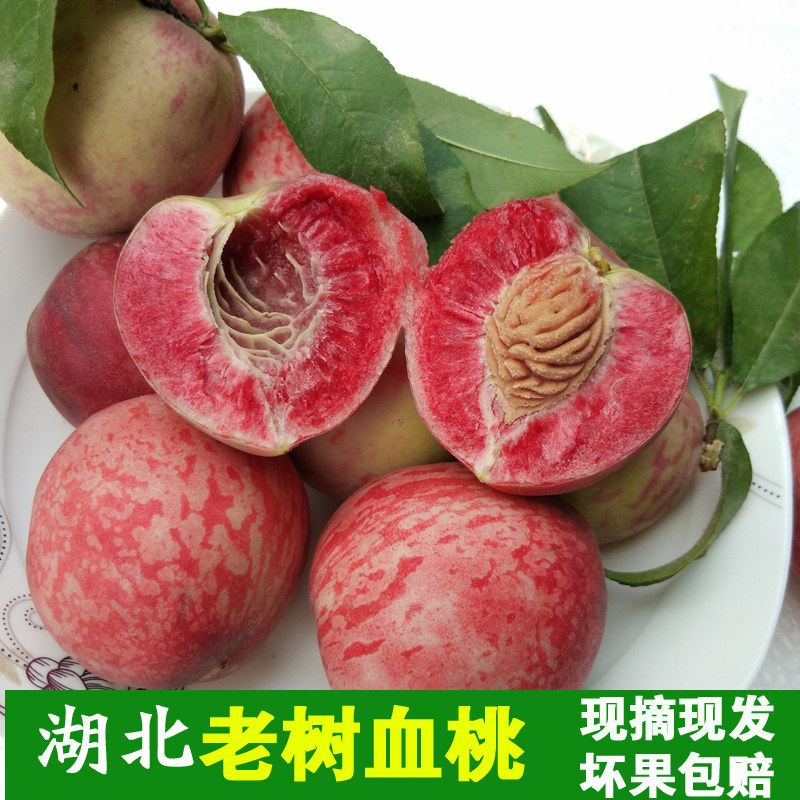 湖北新鲜血桃正宗离核红心胭脂红桃子应季孕妇水果现摘现发