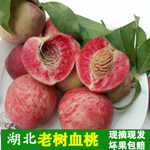 湖北新鲜血桃正宗离核红心胭脂红桃子应季孕妇水果现摘现发