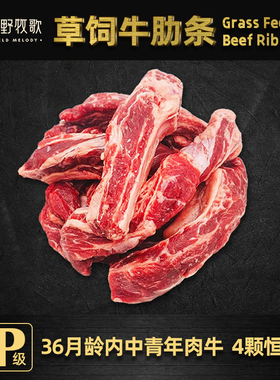 田野牧歌澳洲进口草饲牛肋条YP级36月龄中青年牛肉卤炖煎蒸1kg