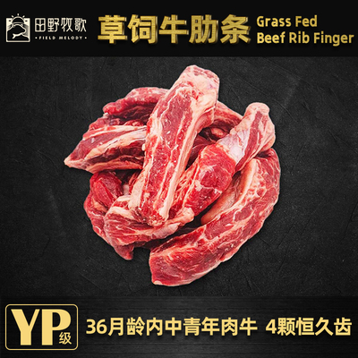 澳洲草饲牛肋条冷冻1kg无激素