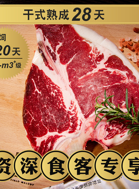 干式熟成28天澳洲谷饲M2-M3级T骨红屋翼骨牛排去壳净重无任何添加