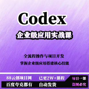 Codex企业级应用实战课全流程操作与项目开发掌握企业级应用搭建