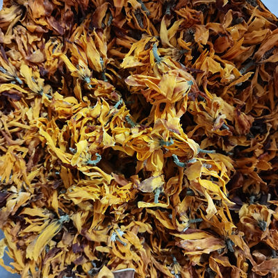 超临界黄玉兰精油精油