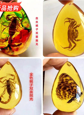 琥珀昆虫标本小学课本科普虫珀树脂摆件蝴蝶螃蟹创意吊坠儿童礼物