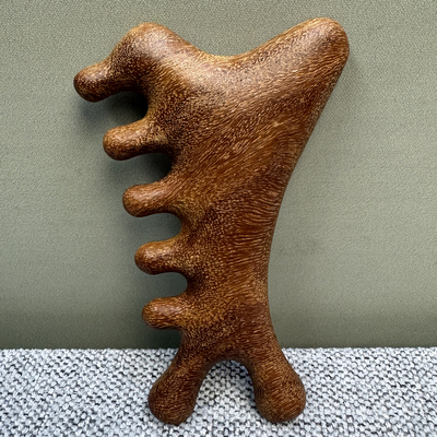 能头皮木多功器部头疗天然檀摩梳头经络神实木按痧疏通脸部刮