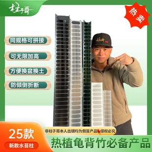 水苔柱 柱子哥专利产品辅助气生根生长热植通用 龟背竹专用水苔柱