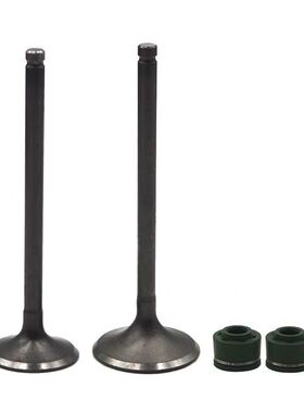 适配豪爵HJ125T-9C-10A-10E-16D-11A悦星宇钻天鹰鹰钻银巨星气门