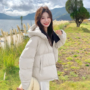 【 有货】90绒 两面穿连帽羽绒服 2D122-2763-P355控498图片