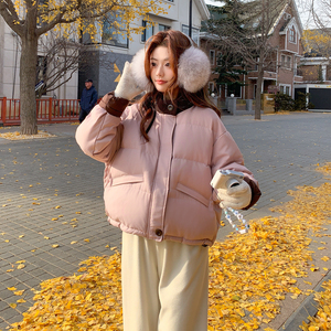 【档口 有货】 90绒 拉链领羽绒服 2D122-2774-P355 控498图片