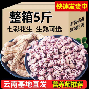 新货云南特产七彩花生带壳可做种