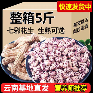 新货云南特产七彩花生带壳农家野地晒干原味彩色花生米可做种子