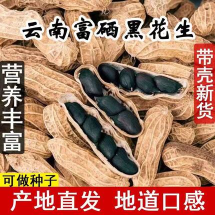 2025新货富硒黑花生纯黑皮生吃去壳高品质可做种子云南特产包邮