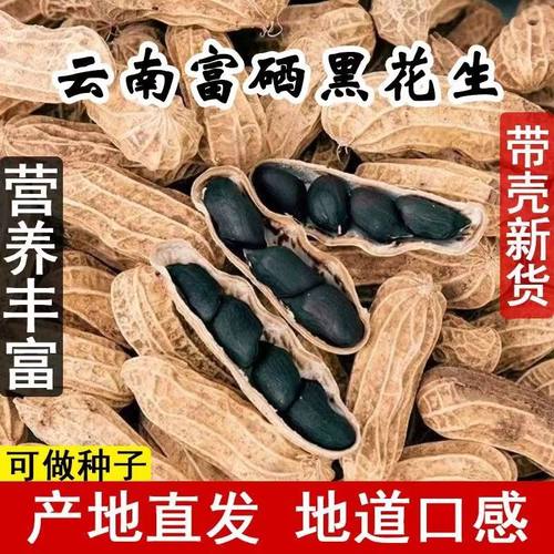 2025新货富硒黑花生可生吃做种子