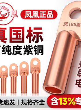 DT铜鼻子凤凰牌金具堵油铜接头国标紫铜接线端子10/16/25-630平方