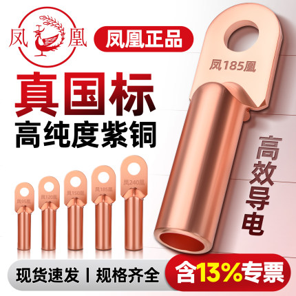 DT铜鼻子凤凰牌金具堵油铜接头国标紫铜接线端子10/16/25-630平方