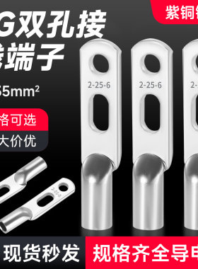 双孔铜鼻子华为电源专用接线端子
