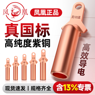 凤凰DT铜鼻子塑壳断路器窄边线耳