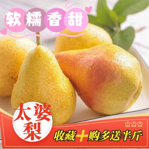 太婆梨新鲜水果烟台特产大头葫芦黄金香蕉梨现摘现发5斤包邮大果