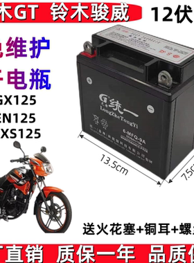 适用铃木GT铃木骏 GSX125   GX125 锐爽EN150摩托车免干电池电瓶