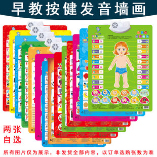 挂图识字发音乘法表偏旁部首点读有声字母表称呼早教贴纸 墙贴aoe