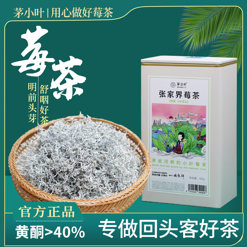 张家界莓茶明前头芽茅小叶头采