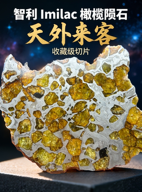 智利Imilac橄榄陨石切片 保真橄榄石石铁陨石高端天外来客