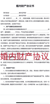 婚内财产协议书婚前协议婚姻房产约定合同债权债务夫妻婚后协议书