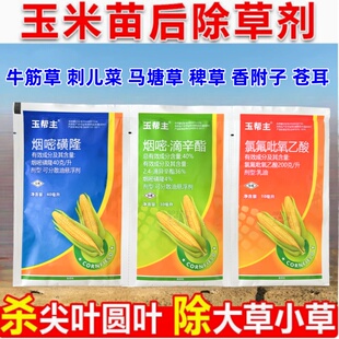 玉帮主烟嘧磺隆氯氟吡氧乙酸2.4滴异辛酯玉米苞米苗后专用除草剂